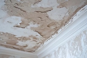mold stains on the ceiling in the apartment from flooding by the upstairs neighbors