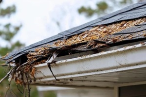 key indicators of roofing issues post-hailstorm